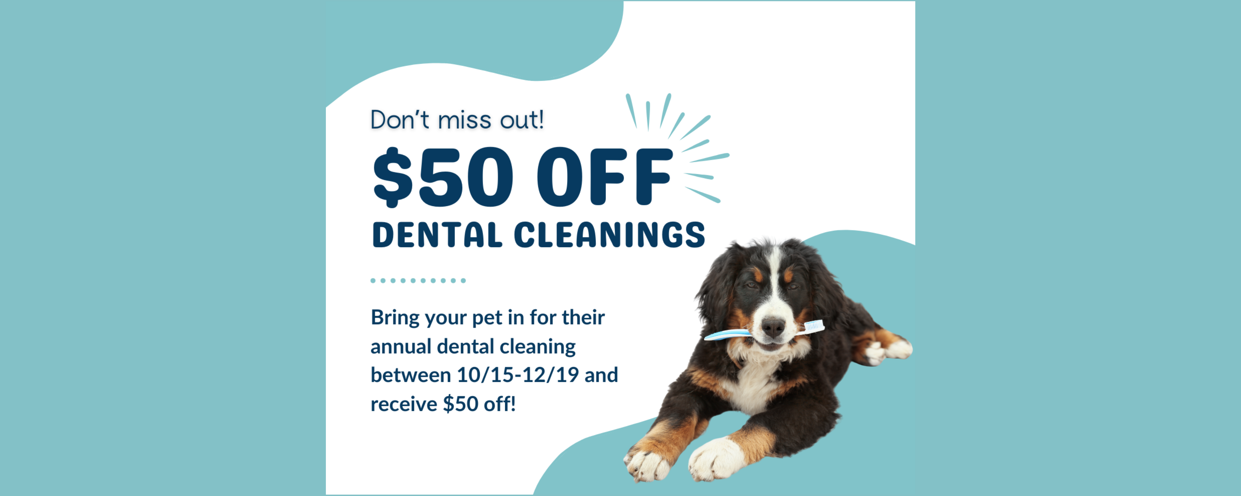 Dental Promo